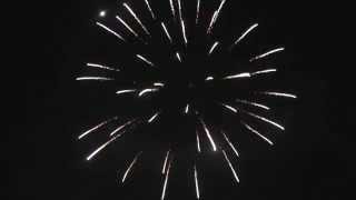 3 Inch Silver Willow Firework Shell in Slow Mo x 4 [upl. by Halpern]