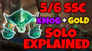 56 Serpentshrine Cavern Solo EXPLAINED Hunter PoV Cataclysm Classic [upl. by Lovmilla]