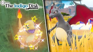 NEW EASY SHINY CHARMANDER EXPLOIT IN POKEMON VIOLET Best Location Shown  Indigo Disk DLC [upl. by Ettinger445]