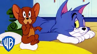 Tom et Jerry en Français  Classiques du dessin animé 115  WB Kids [upl. by Eerrehc29]