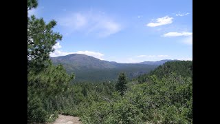 KAIBAB National Forest  FREE Dispersed Camping in AZ [upl. by Mohn786]