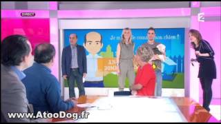 Vêtements pour chien  France 2 [upl. by Merwin113]