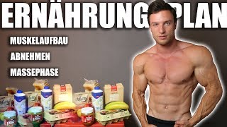 ERNÄHRUNG  So erreichst du deinen Traumkörper   Ernährungsplan und Supplements [upl. by Ally]