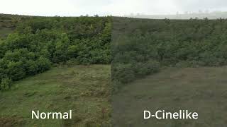 Normal vs DCinelike DJI Mini 3 Pro No color grading [upl. by Borlase]