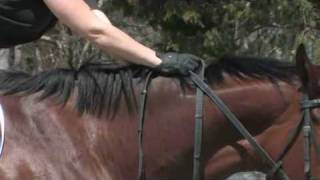 Basic Fence Positions in Horse Riding [upl. by Mcafee984]