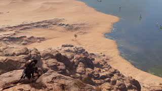 Burning Bush  Assassins Creed Origins  Papyri Puzzle [upl. by Hamimej658]