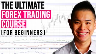 The ULTIMATE Forex Trading Course for Beginners [upl. by Ciredec413]