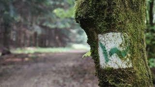 Wanderung auf dem Westerwaldsteig  Etappe 1 amp 2  Backpacking Deutschland  VLOG 66 [upl. by Austreng63]