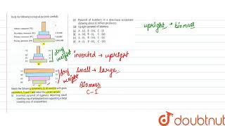 Study the following ecological pyramids carefully [upl. by Enelrae]