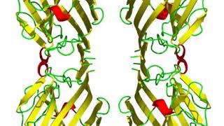 Phytohaemagglutinin  Wikipedia audio article [upl. by Annoyik39]