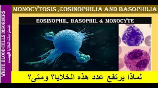 Lecture 24 Monocytosis Eosinophilia and Basophilia [upl. by Bostow]