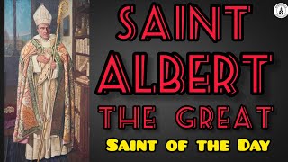 Saint Albert the Great  Patron Saint of Natural Scientists  Story of Saints [upl. by Huckaby]