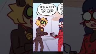 Cat Noirs Gift  Miraculous Ladybug Comic Dub  PHANTOMSAVAGE [upl. by Olgnaed]