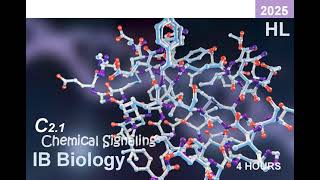 IB Bio 2025 C21 Chemical Signaling HL Note ib ibbiology biology ligand [upl. by Heiskell401]