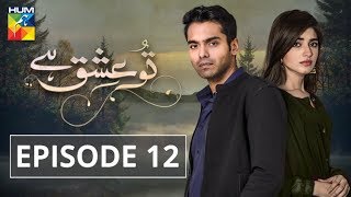 Tu Ishq Hai Episode 12 HUM TV Drama 3 January 2018 [upl. by Youlton242]