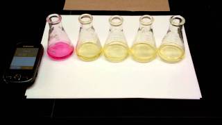 Hydrolysis of tButylChloride Kinetics Experiment 5 SN1 Reaction [upl. by Afirahs896]