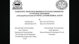 Endophytic fungi isolation and Studying its potential against microbes [upl. by Orestes]