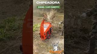 CHIPEADORA FARETTY🪵🍃14HP Diesel [upl. by Puto260]