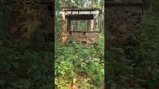 THALKOBAAD SARANDA FOREST Jharkhand youtube youtubeshorts youtuber youtubeshort youtubechannel [upl. by Tevis]