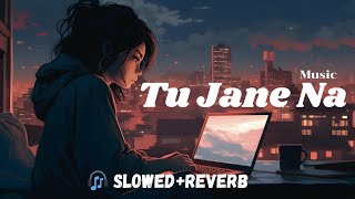 Tu Jaane Na Lyrics SlowedReverb Atif Aslam  Lyrical Audio003 trending youtube lyrics [upl. by Lynad]