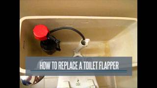 Quick DIY Fixes for Toilets [upl. by Ynnam]