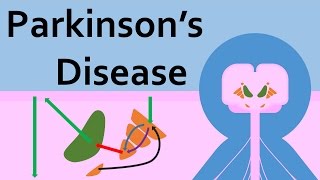 Parkinsons Disease and the Basal Ganglia [upl. by Dnomed]