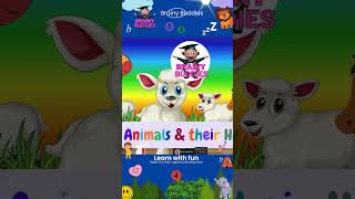 Amazing Animal Homes  Animal Homes Vocabulary for Kids  Animal Names and Homes [upl. by Asilanna332]