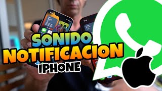 👉 Como CAMBIAR el SONIDO de NOTIFICACIONES de WHATSAPP en IPHONE 🔥 2024 [upl. by Phonsa818]