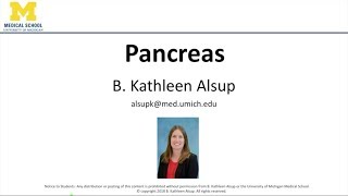 Pancreas Lecture [upl. by Eilesor]