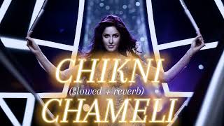 CHIKNI CHAMELI x slowed  reverb [upl. by Anglo]