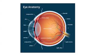 Pathology Made EasySystemic Pathology 15Head amp Neck Diseases1Eye Diseases [upl. by Eissolf72]