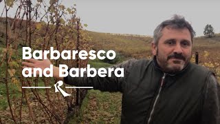 BARICCHI Barbaresco and Barbera  Rimessa Roscioli [upl. by Monah]