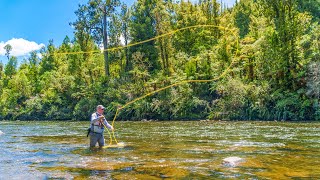 Fly Fishing for Big Backcountry Trout New Zealand [upl. by Keli29]