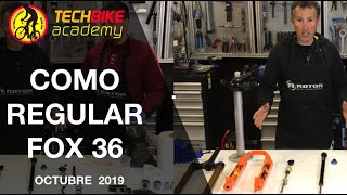 Horquilla Fox 36 2019 características y regulaciones en Techbikeacademy [upl. by Giddings]