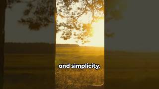 Lagom The Swedish Art of Simplifying [upl. by Lipinski]