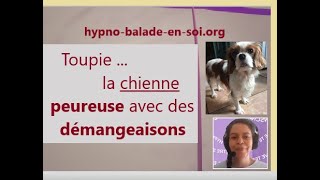 6An  Enquête Animaux  la chienne peureuse avec des démangeaisons [upl. by Starla]