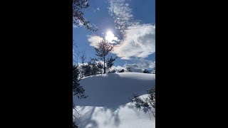 Using Birchbark  Winter Snowshoeing and Bushcraft [upl. by Arutak]