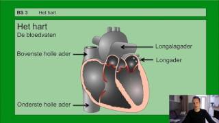 VMBO HAVO 2  De bloedsomloop  Basisstof 3 Het hart [upl. by Nyra]