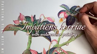 Wildflowers Painting in Watercolour Ep06  Pale yellowCreamPinkish of Impatiens kerriae [upl. by Solracsiul]