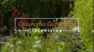 Oklahoma Gardening September 14 2024 [upl. by Pennington790]