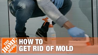 How to Get Rid of Mold  The Home Depot [upl. by Aramanta]