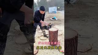 Household brushless lithium hammerchainsaws hardware tools viralvideo foryou [upl. by Trescha]