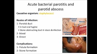 salivary gland infections [upl. by Aibonez333]