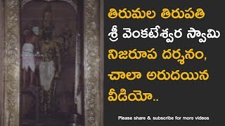 Tirumala Venkateswara Swamy Temple abhishekam real video [upl. by Tegdig]