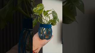 Old glass bottle DIY 😱 Planter  shorts diy planter easyidea manuyadav Manil87 [upl. by Einnep]