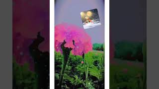 Bagban  Baghon Ke Har Phool Ko Apna Samjhe Baghban Live Richa Sharma Video [upl. by Suiradal103]