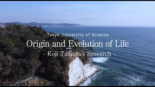 Origin and Evolution of Life Koji Tamuras Research [upl. by Bidget]