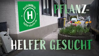 Warum man beim Helfershuttle mit Pflanzaktionen hilft [upl. by Adnelg37]