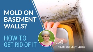 Get Rid Of Mold On Basement Walls EPISODE 13 Building Well amp Avoiding Mold [upl. by Inalej]