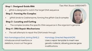 The Application of Gene editing for climate change in agricultureGene tech Assignment [upl. by Kimberly]